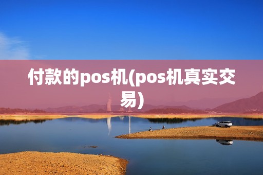 付款的pos机(pos机真实交易)