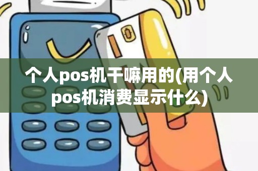个人pos机干嘛用的(用个人pos机消费显示什么)