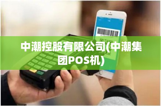 中潮控股有限公司(中潮集团POS机) 中潮控股有限公司(中潮集团POS机)