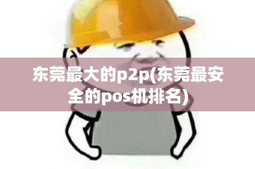 东莞最大的p2p(东莞最安全的pos机排名)
