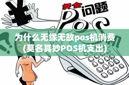 为什么无缘无故pos机消费(莫名其妙POS机支出)