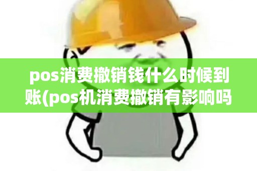 pos消费撤销钱什么时候到账(pos机消费撤销有影响吗)