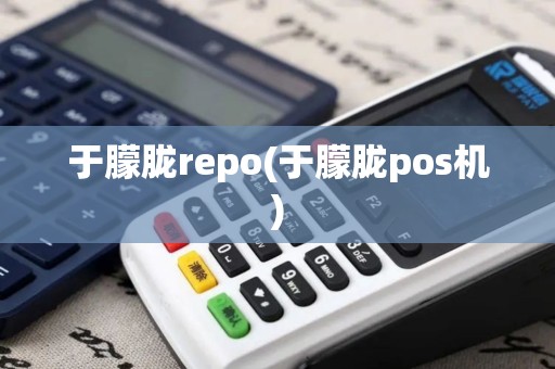于朦胧repo(于朦胧pos机)