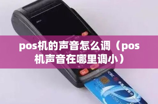 pos机的声音怎么调（pos机声音在哪里调小）