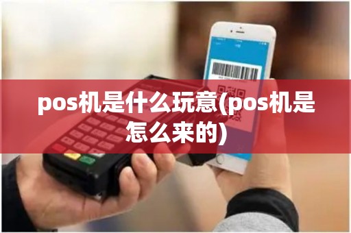 pos机是什么玩意(pos机是怎么来的)
