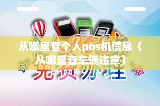 从哪里查个人pos机信息（从哪里查车辆违章）