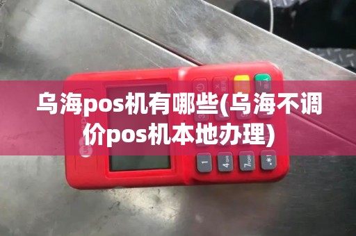 乌海pos机有哪些(乌海不调价pos机本地办理)