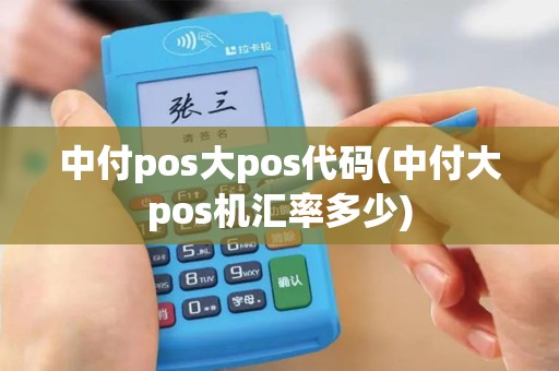 中付pos大pos代码(中付大pos机汇率多少)