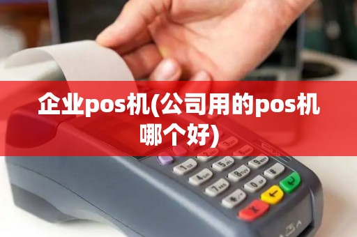 企业pos机(公司用的pos机哪个好)