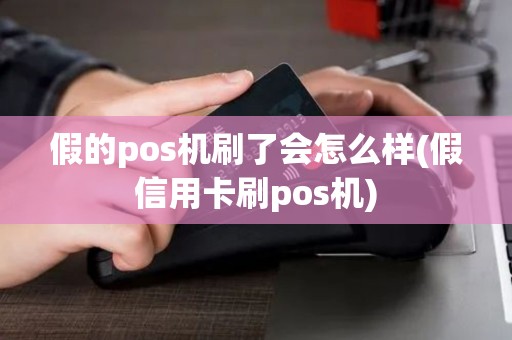 假的pos机刷了会怎么样(假信用卡刷pos机)