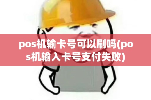 pos机输卡号可以刷吗(pos机输入卡号支付失败)
