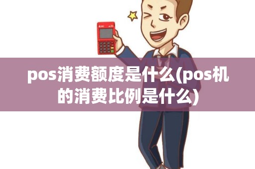 pos消费额度是什么(pos机的消费比例是什么)
