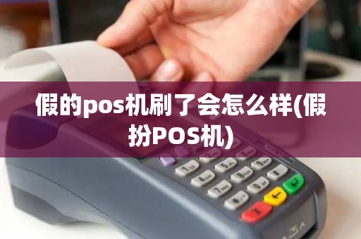 假的pos机刷了会怎么样(假扮POS机)