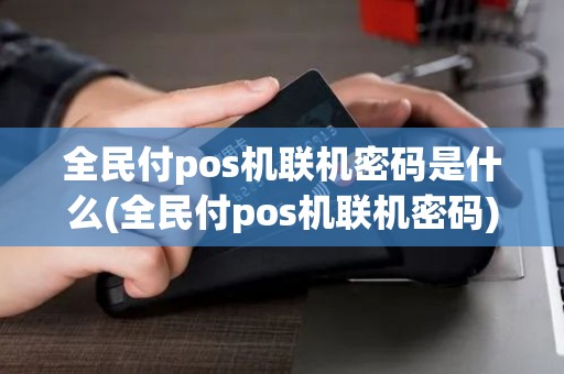 全民付pos机联机密码是什么(全民付pos机联机密码)