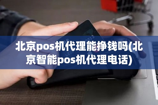 北京pos机代理能挣钱吗(北京智能pos机代理电话)
